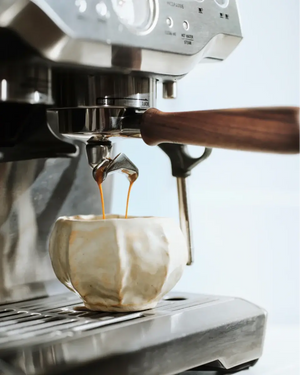 Portafilter για τη σειρά Sage Barista (54 mm) - Barista και Espresso